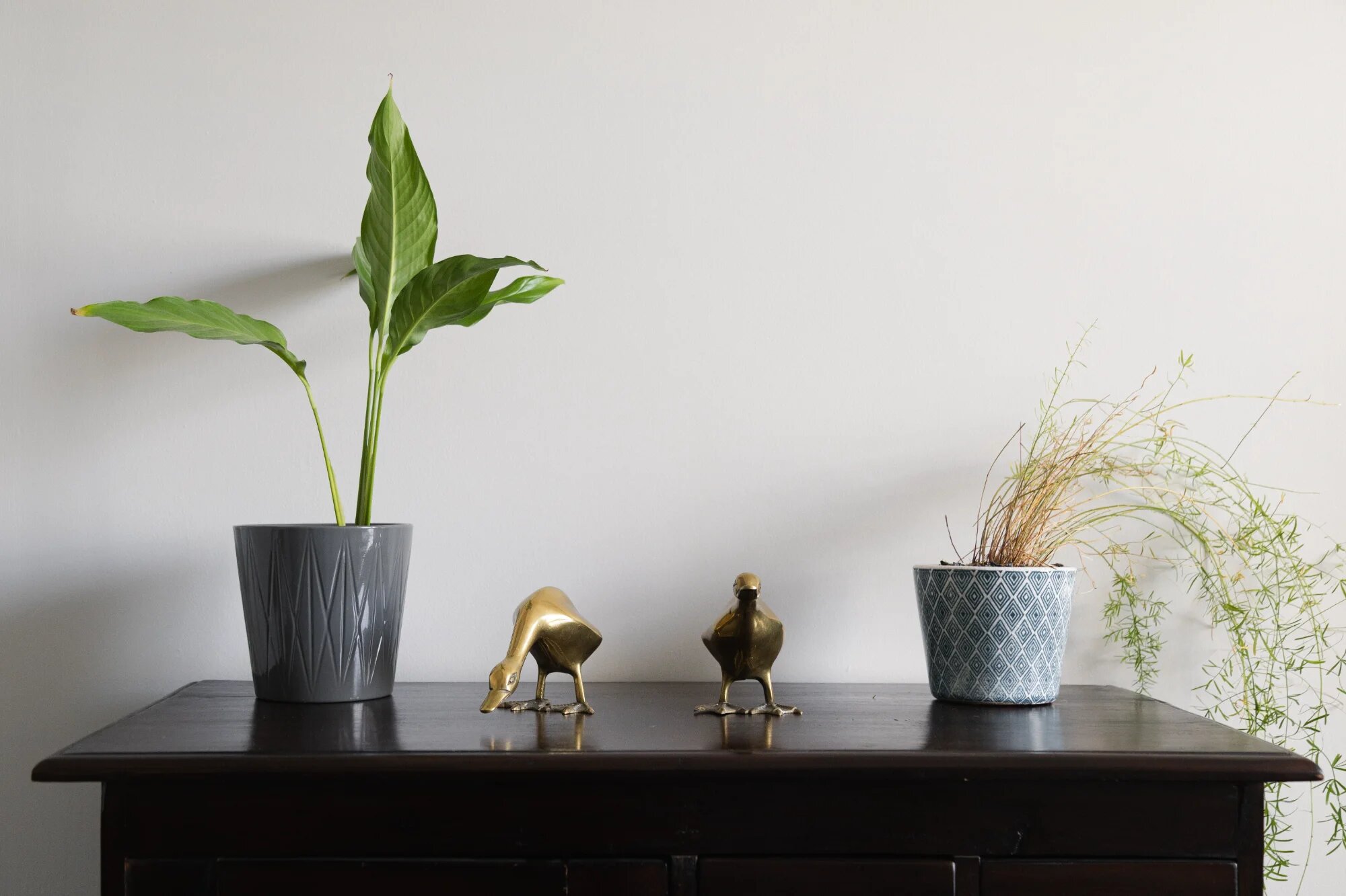 Wimpole Ducks Detail